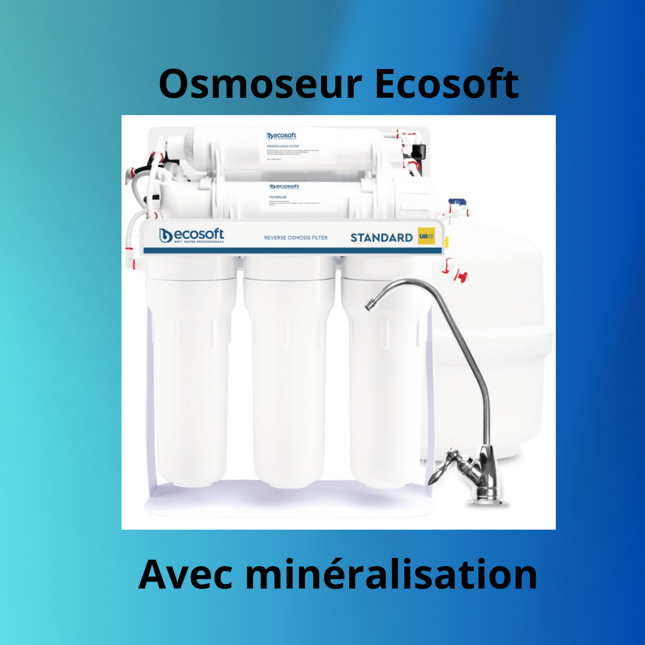 Osmoseur Inverse avec Minéralisation